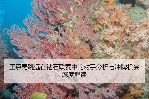 王嘉男跳远在钻石联赛中的对手分析与冲牌机会深度解读